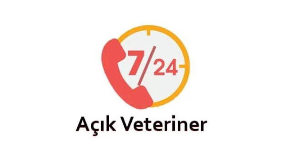 Antalya'da 7/24 Açık Nöbetçi ve Pazar Günü Hizmet Veren Veteriner Kliniği